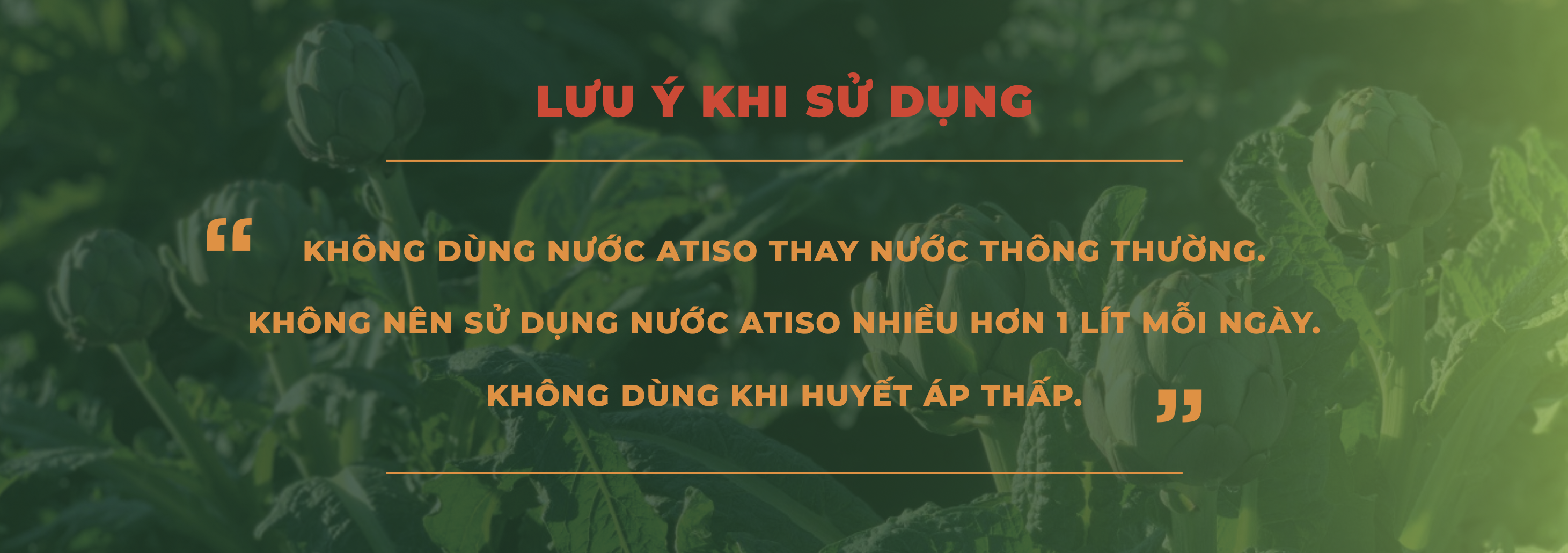 Lưu ý khi sử dụng hoa atiso Đà Lạt