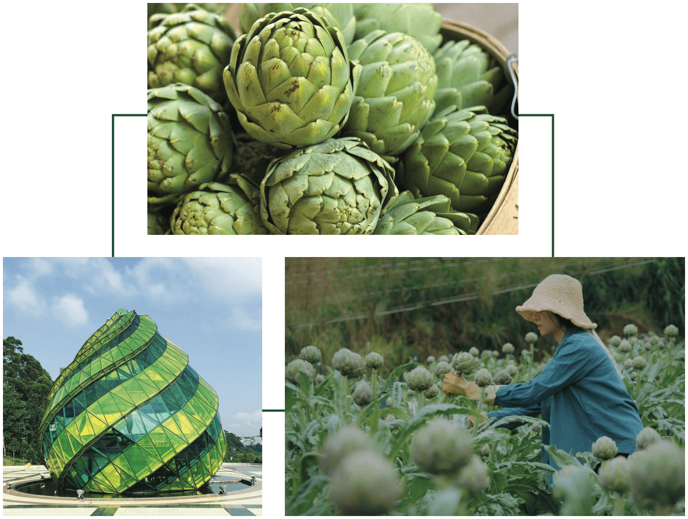 Tiệm út Quý